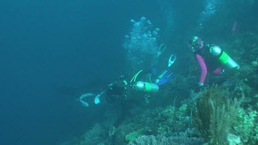 Manta Ray swimming by a pair of scuba divers