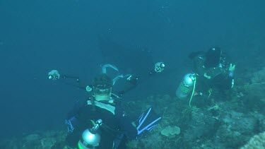 Manta Ray swimming by a pair of scuba divers taking photos