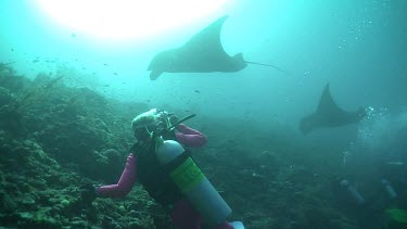 Scuba diver photographing Manta Rays as they swim over a reef