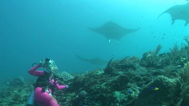 Scuba diver photographing Manta Rays as they swim over a reef