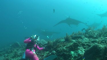 Scuba diver photographing Manta Rays as they swim over a reef