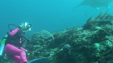 Scuba diver photographing a Manta Ray as it swims over a reef