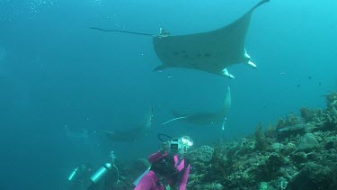 Scuba diver photographing Manta Rays as they swim over a reef