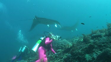 Scuba diver photographing Manta Rays as they swim over a reef