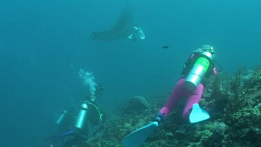 Scuba diver photographing a Manta Ray swimming along a reef