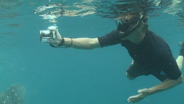 Snorkeler filming a Whale Shark as it feeds next to a raft