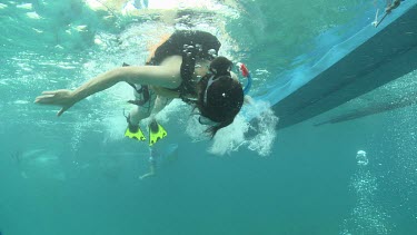 Snorkelers swimming around a Whale Shark underwater