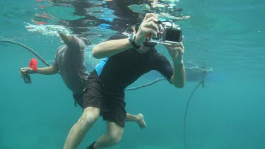 Snorkelers filming underwater