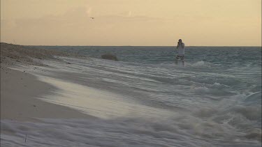 Green Turtle returning to ocean. Tourist is taking photos.