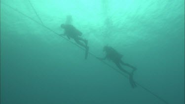 Two Divers swimming back to the ocean surface