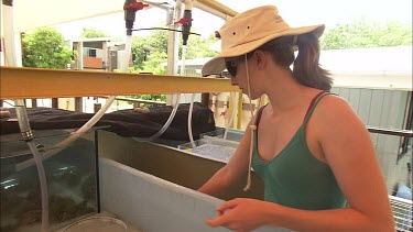 Heron Island Research Student adjusting the experiment test