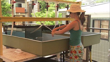 Heron Island Research Student adjusting the experiment test