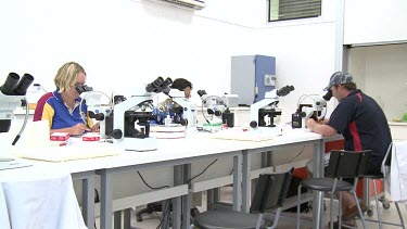 Heron Island Research Station: People performing research