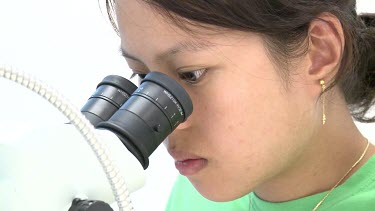 Heron Island Research Station: People performing research