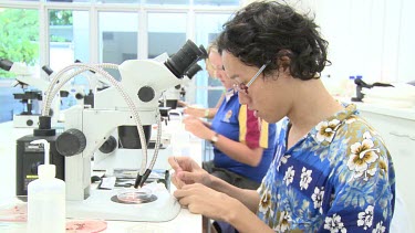 Heron Island Research Station: People performing research