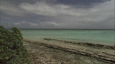 Stunning beach and ocean