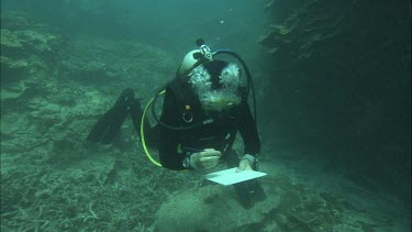 Diver makes research and writes down notes