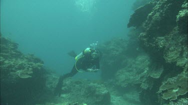 Diver does checking of corals  and making notes underwater
