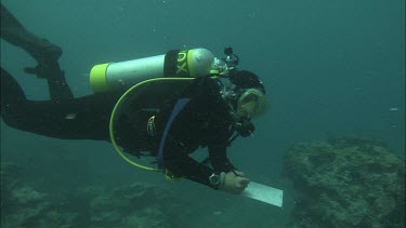 Diver does checking of corals  and making notes underwater  Underwater writing; notes; note; writing; diver; underwater; scuba diving; checking; coral; coral reef; ocean; reef; underwater;