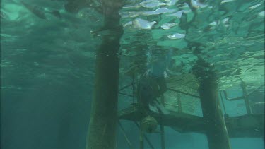Two girls swim and do snorkeling