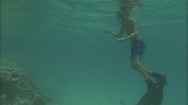 Teen boy compares colours of the coral with coral health  chart.