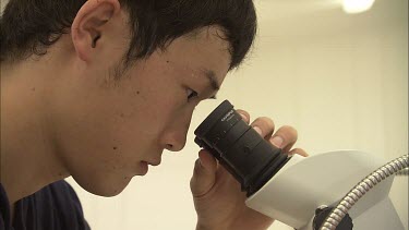 Student researcher examining specimen under mircoscope