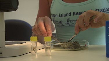 Student researcher dissects part of sea slug and places it into test tube