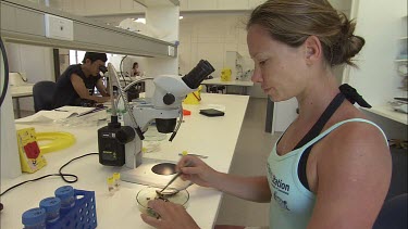 Student researchers looking at sea slug and dicussing the importants