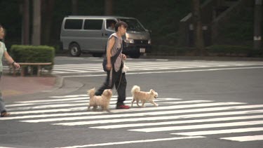 Woman crossing a street with two dogs