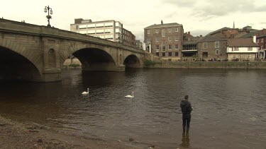 Man feeding swans in a river