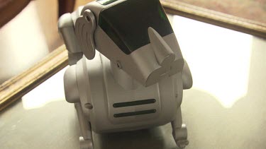 Robotic toy dog