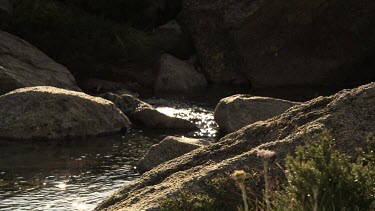 Close up of a creek bed in the Australian Alps