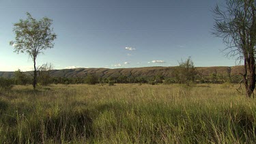 Landscape of lush fields and distant hills