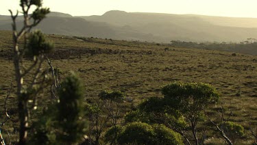 Dry field before a misty mountain landscape