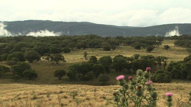 Smoke billowing over a mountain landscape