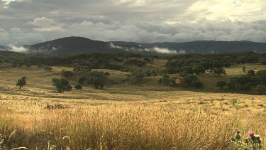 Smoke billowing over a mountain landscape