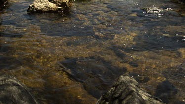 Small river running through a mountain landscape