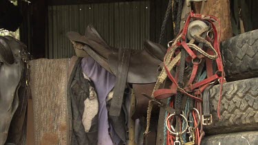 Horse tack in a barn
