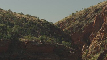 Trees on a rocky mountain cliff