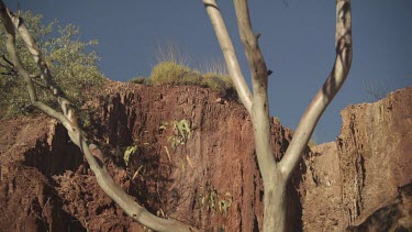 Sunlit rocky cliffs