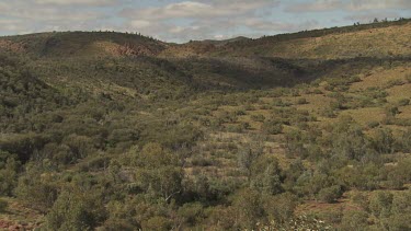 Dry vegetation on rolling hills