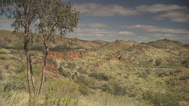 Dry vegetation before distant mountains