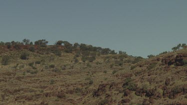 Dry vegetation up the side of a mountain