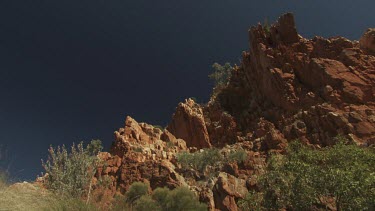 Vegetation on the side of a rocky cliff