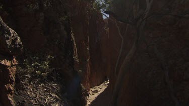 Hikers walking a narrow path between two high cliffs