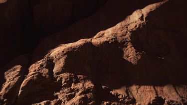 Single green plant growing from a rocky cliff