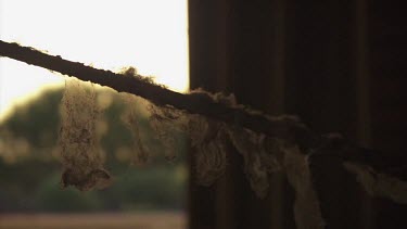 Close up of cobwebs on a rusty barn beam