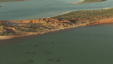 View along a sandy coast