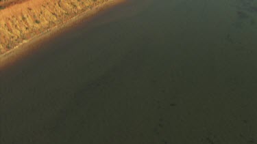 View along a sandy coast