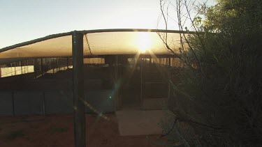 Sunlight streaming through an animal enclosure